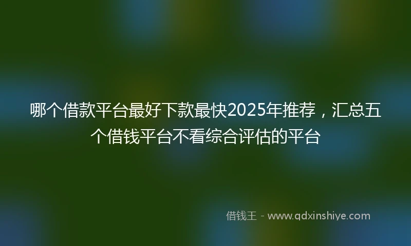 哪个借款平台最好下款最快2025年推荐，汇总五个借钱平台不看综合评估的平台