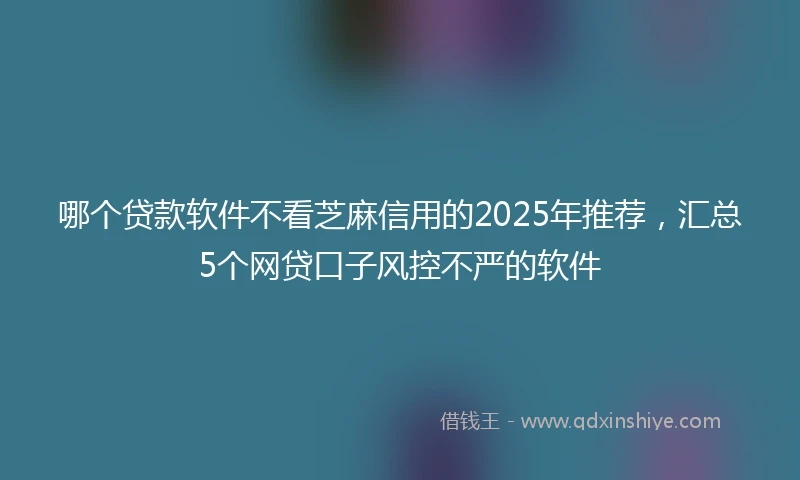 哪个贷款软件不看芝麻信用的2025年推荐，汇总5个网贷口子风控不严的软件