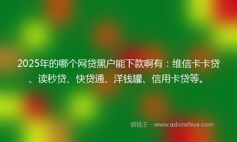 2025年的哪个网贷黑户能下款啊有：维信卡卡贷、读秒贷、快贷通、洋钱罐、信用卡贷等。