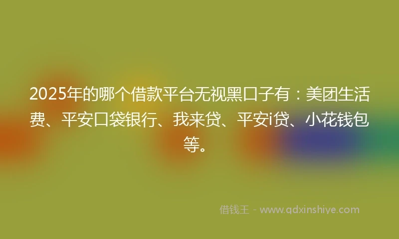 2025年的哪个借款平台无视黑口子有：美团生活费、平安口袋银行、我来贷、平安i贷、小花钱包等。