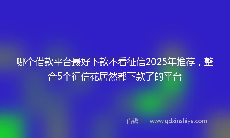 哪个借款平台最好下款不看征信2025年推荐,整合5个征信花居然都下款了的平台