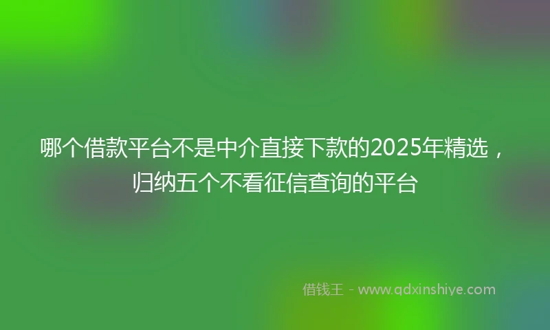 哪个借款平台不是中介直接下款的2025年精选，归纳五个不看征信查询的平台