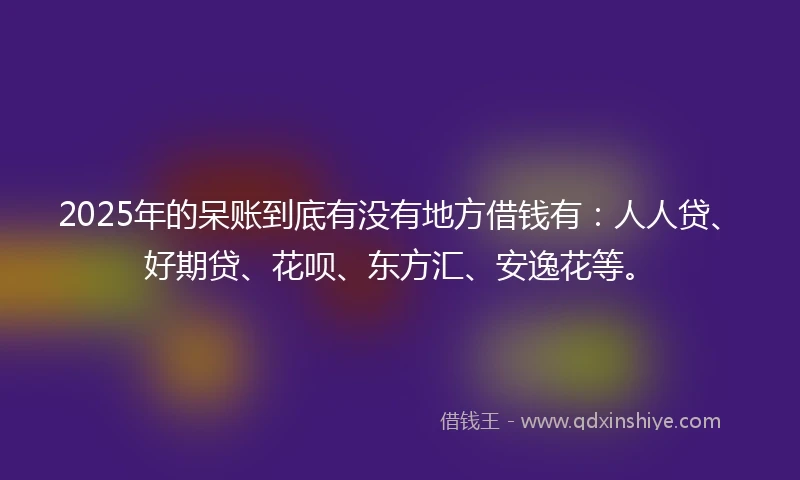 2025年的呆账到底有没有地方借钱有：人人贷、好期贷、花呗、东方汇、安逸花等。