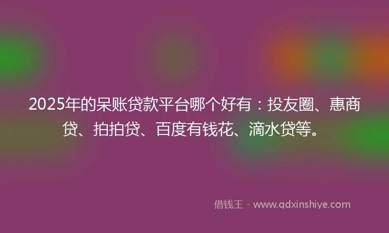 2025年的呆账贷款平台哪个好有：投友圈、惠商贷、拍拍贷、百度有钱花、滴水贷等。