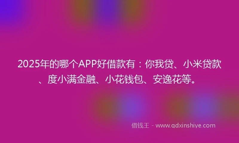 2025年的哪个APP好借款有：你我贷、小米贷款、度小满金融、小花钱包、安逸花等。