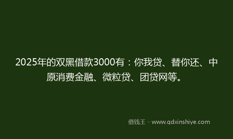 2025年的双黑借款3000有：你我贷、替你还、中原消费金融、微粒贷、团贷网等。