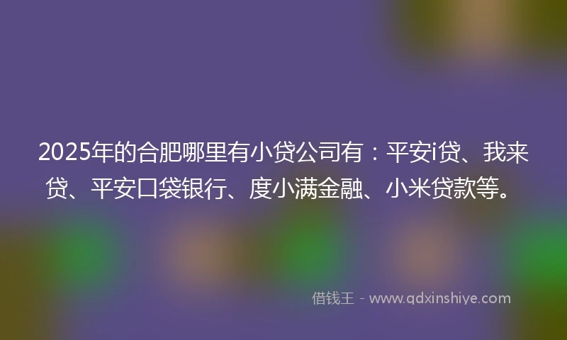 2025年的合肥哪里有小贷公司有：平安i贷、我来贷、平安口袋银行、度小满金融、小米贷款等。