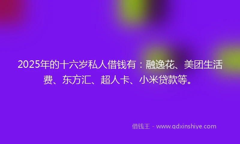 2025年的十六岁私人借钱有：融逸花、美团生活费、东方汇、超人卡、小米贷款等。