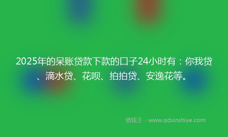 2025年的呆账贷款下款的口子24小时有：你我贷、滴水贷、花呗、拍拍贷、安逸花等。