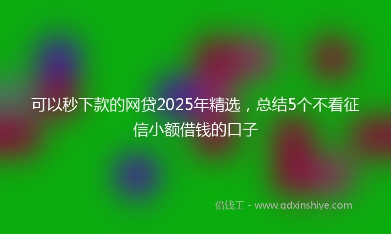 可以秒下款的网贷2025年精选，总结5个不看征信小额借钱的口子