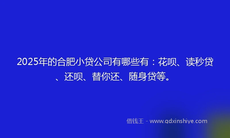 2025年的合肥小贷公司有哪些有：花呗、读秒贷、还呗、替你还、随身贷等。