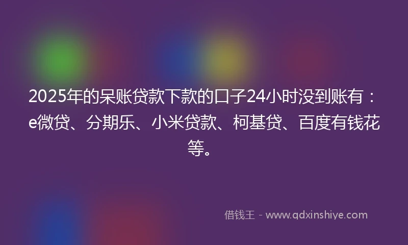 2025年的呆账贷款下款的口子24小时没到账有：e微贷、分期乐、小米贷款、柯基贷、百度有钱花等。