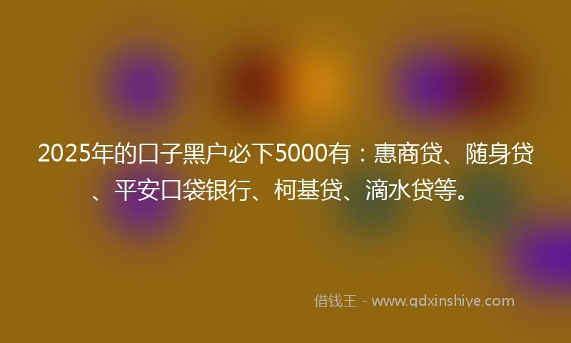 2025年的口子黑户必下5000有：惠商贷、随身贷、平安口袋银行、柯基贷、滴水贷等。