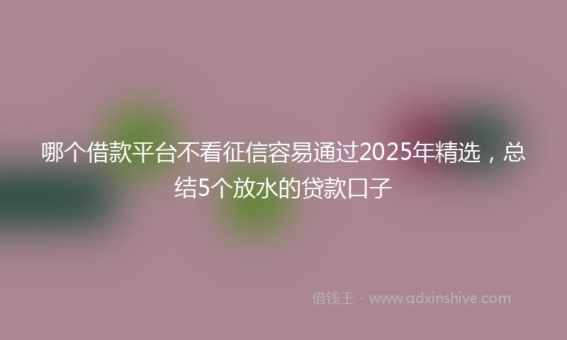哪个借款平台不看征信容易通过2025年精选，总结5个放水的贷款口子