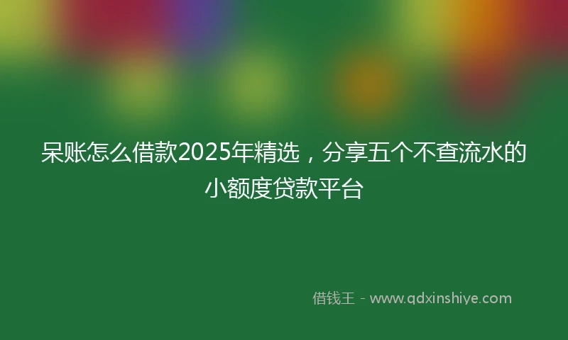 呆账怎么借款2025年精选，分享五个不查流水的小额度贷款平台