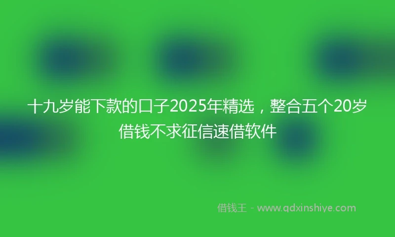 十九岁能下款的口子2025年精选，整合五个20岁借钱不求征信速借软件