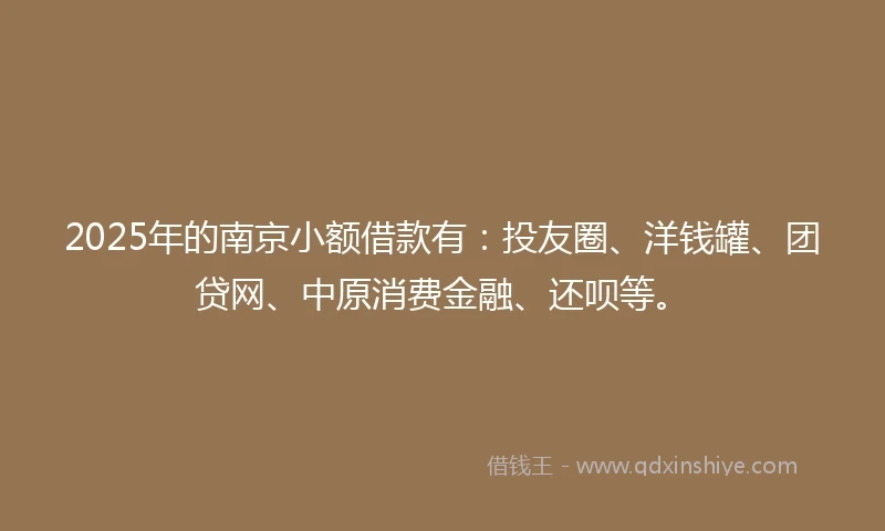 2025年的南京小额借款有：投友圈、洋钱罐、团贷网、中原消费金融、还呗等。