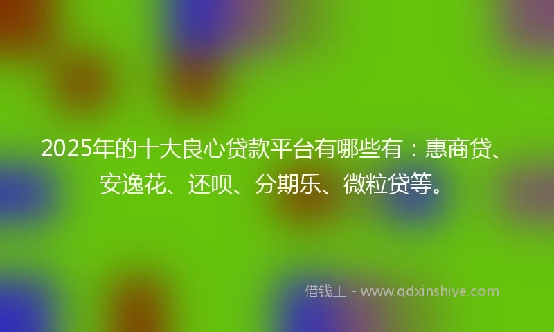2025年的十大良心贷款平台有哪些有：惠商贷、安逸花、还呗、分期乐、微粒贷等。