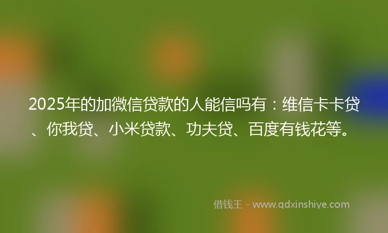 2025年的加微信贷款的人能信吗有：维信卡卡贷、你我贷、小米贷款、功夫贷、百度有钱花等。