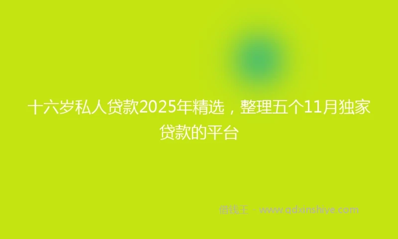 十六岁私人贷款2025年精选，整理五个11月独家贷款的平台