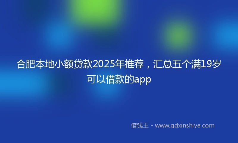 合肥本地小额贷款2025年推荐，汇总五个满19岁可以借款的app