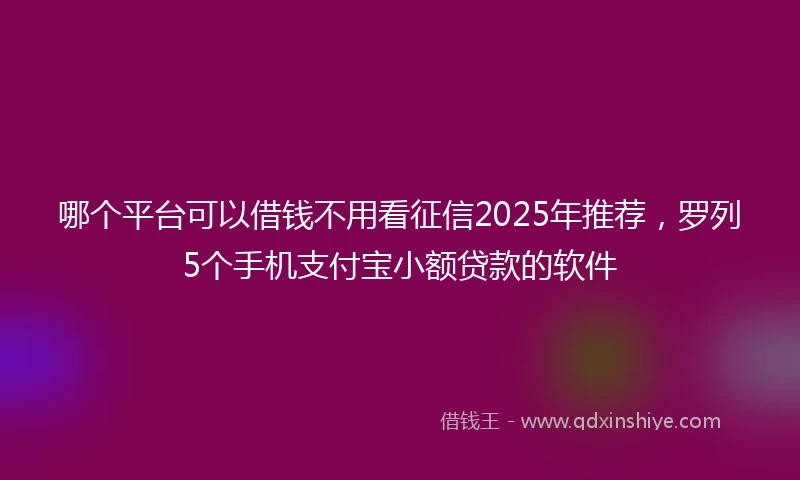 哪个平台可以借钱不用看征信2025年推荐，罗列5个手机支付宝小额贷款的软件