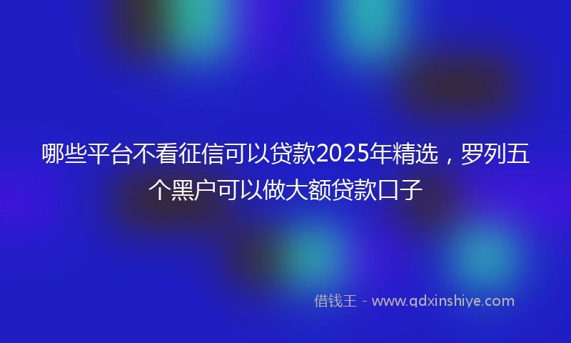 哪些平台不看征信可以贷款2025年精选，罗列五个黑户可以做大额贷款口子