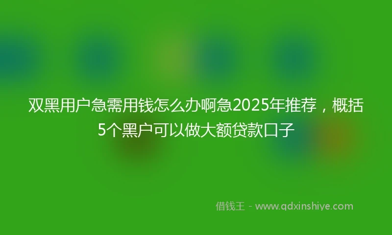 双黑用户急需用钱怎么办啊急2025年推荐，概括5个黑户可以做大额贷款口子