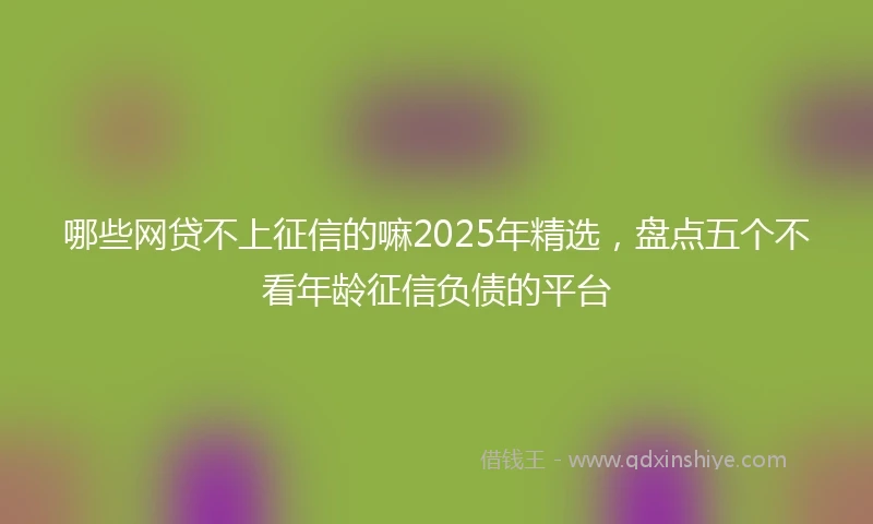 哪些网贷不上征信的嘛2025年精选，盘点五个不看年龄征信负债的平台
