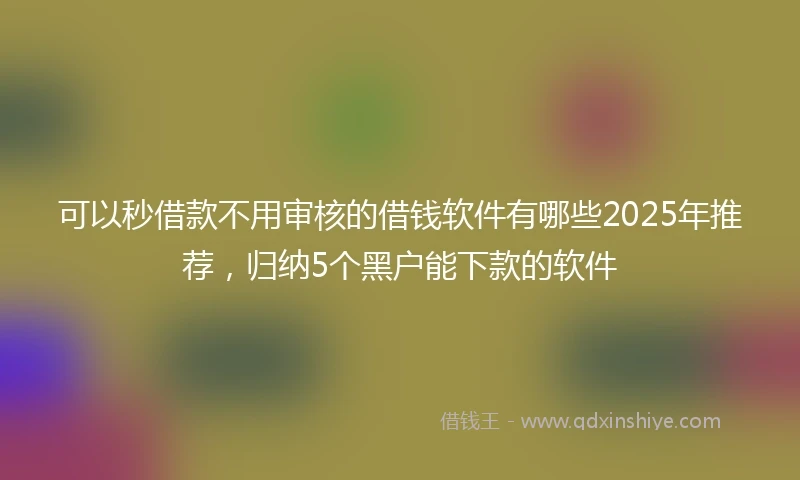 可以秒借款不用审核的借钱软件有哪些2025年推荐，归纳5个黑户能下款的软件