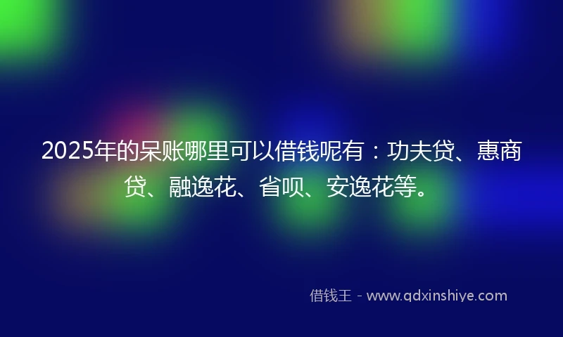 2025年的呆账哪里可以借钱呢有：功夫贷、惠商贷、融逸花、省呗、安逸花等。