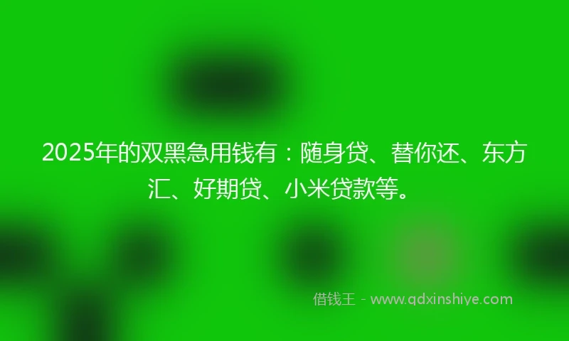 2025年的双黑急用钱有：随身贷、替你还、东方汇、好期贷、小米贷款等。