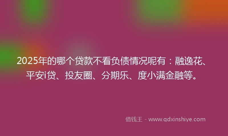 2025年的哪个贷款不看负债情况呢有：融逸花、平安i贷、投友圈、分期乐、度小满金融等。