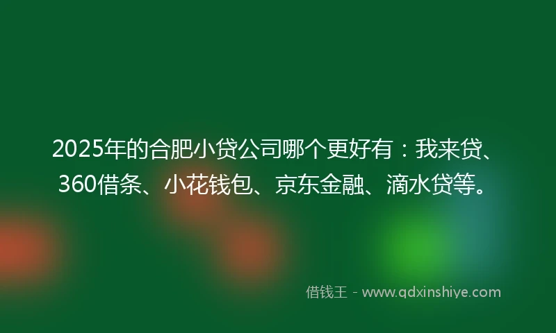2025年的合肥小贷公司哪个更好有：我来贷、360借条、小花钱包、京东金融、滴水贷等。