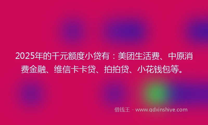 2025年的千元额度小贷有：美团生活费、中原消费金融、维信卡卡贷、拍拍贷、小花钱包等。