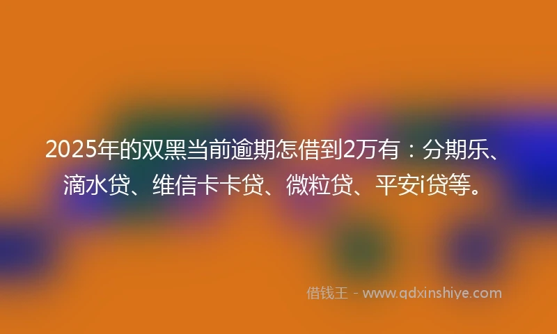 2025年的双黑当前逾期怎借到2万有：分期乐、滴水贷、维信卡卡贷、微粒贷、平安i贷等。