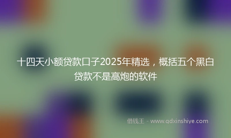 十四天小额贷款口子2025年精选，概括五个黑白贷款不是高炮的软件