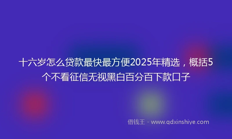 十六岁怎么贷款最快最方便2025年精选，概括5个不看征信无视黑白百分百下款口子