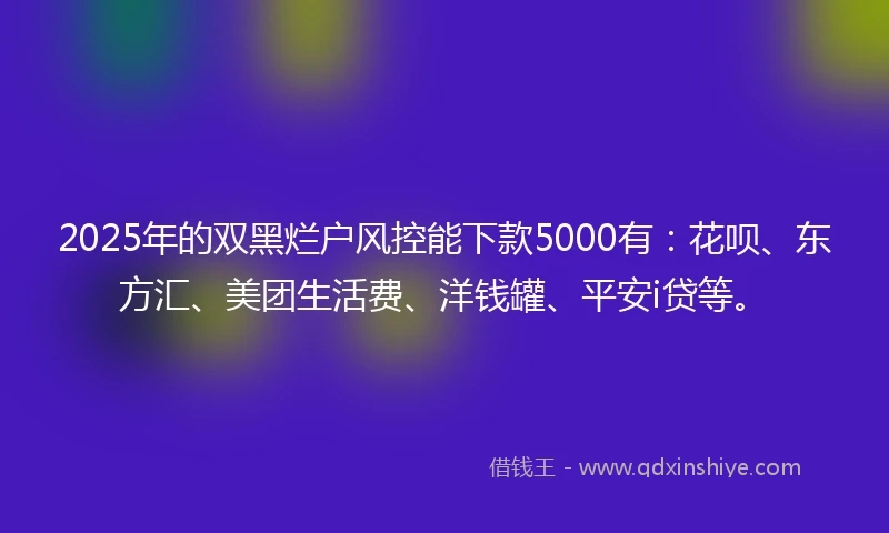 2025年的双黑烂户风控能下款5000有：花呗、东方汇、美团生活费、洋钱罐、平安i贷等。