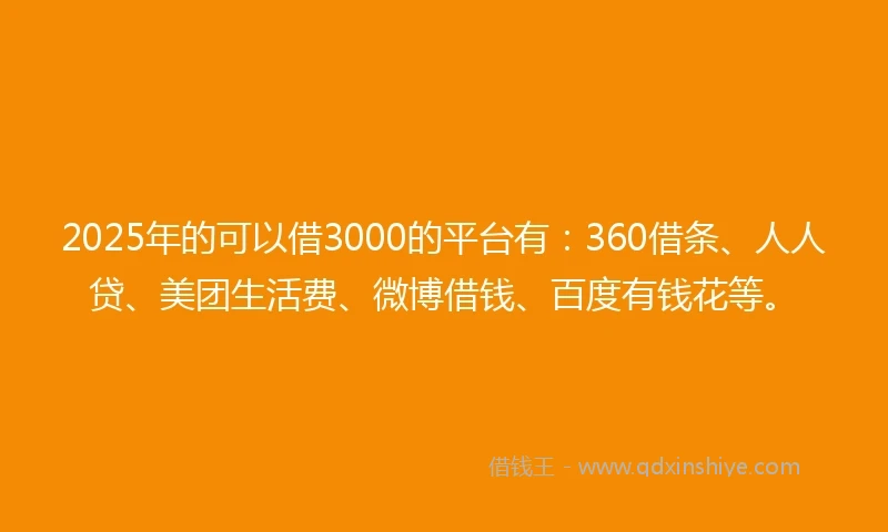 2025年的可以借3000的平台有：360借条、人人贷、美团生活费、微博借钱、百度有钱花等。