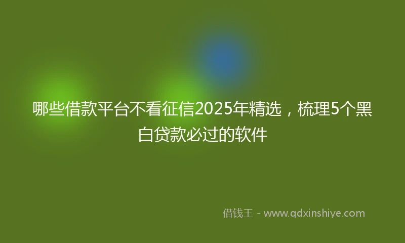 哪些借款平台不看征信2025年精选，梳理5个黑白贷款必过的软件