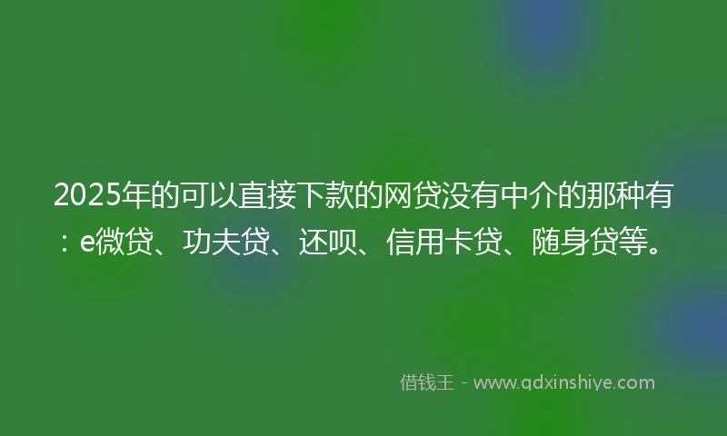 2025年的可以直接下款的网贷没有中介的那种有：e微贷、功夫贷、还呗、信用卡贷、随身贷等。