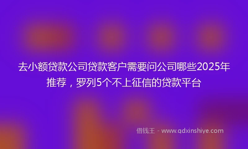 去小额贷款公司贷款客户需要问公司哪些2025年推荐，罗列5个不上征信的贷款平台