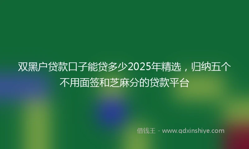 双黑户贷款口子能贷多少2025年精选，归纳五个不用面签和芝麻分的贷款平台
