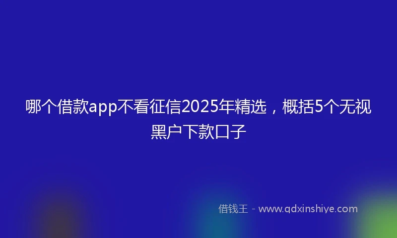 哪个借款app不看征信2025年精选，概括5个无视黑户下款口子