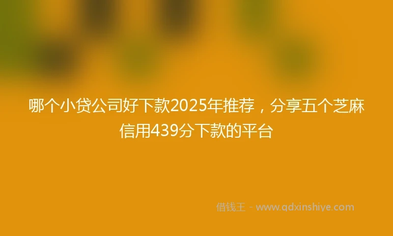 哪个小贷公司好下款2025年推荐，分享五个芝麻信用439分下款的平台