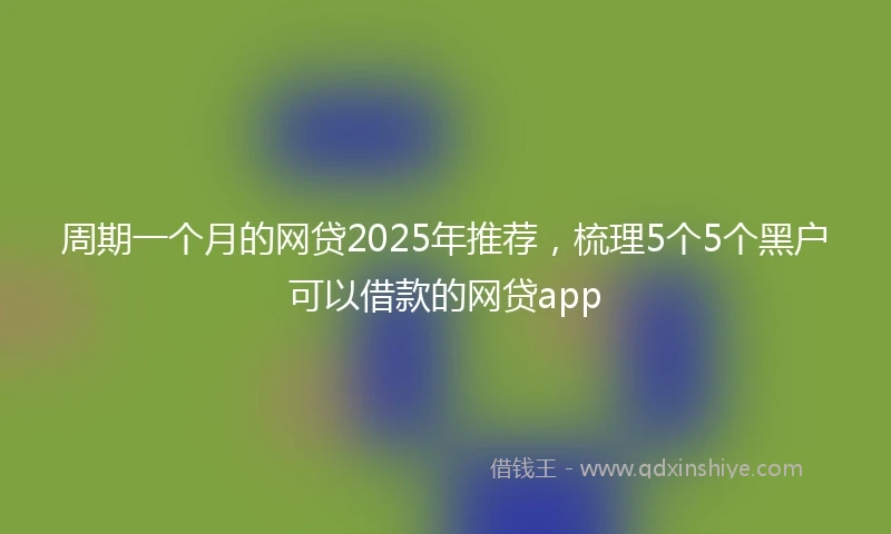 周期一个月的网贷2025年推荐，梳理5个5个黑户可以借款的网贷app