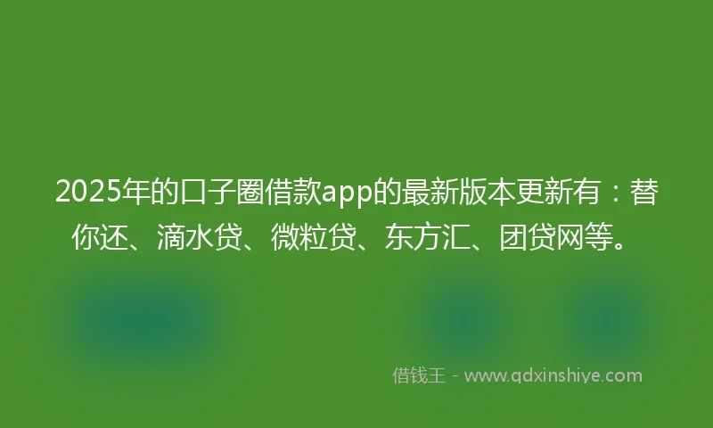 2025年的口子圈借款app的最新版本更新有：替你还、滴水贷、微粒贷、东方汇、团贷网等。