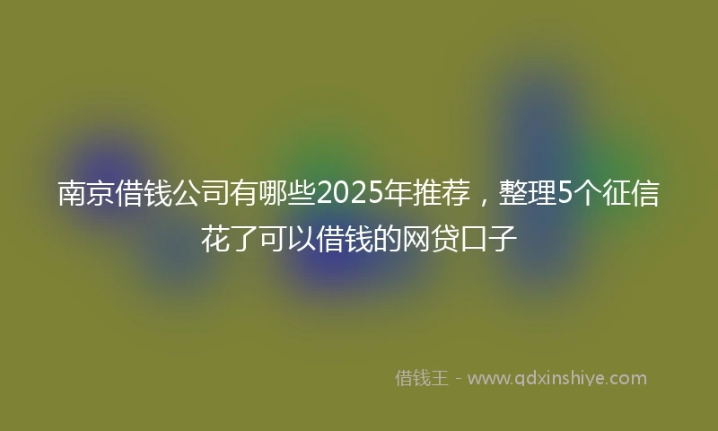 南京借钱公司有哪些2025年推荐，整理5个征信花了可以借钱的网贷口子