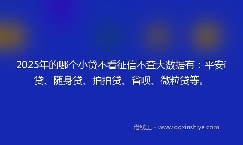 2025年的哪个小贷不看征信不查大数据有：平安i贷、随身贷、拍拍贷、省呗、微粒贷等。